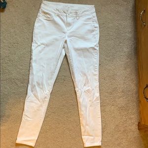 COPY - Maurices jeggings